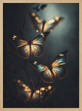 Glowing Butterflies Poster