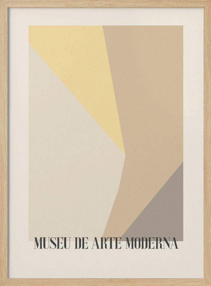 Museu De Arte Moderna 02 Poster