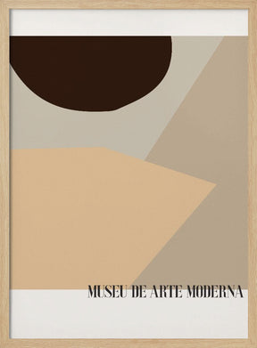 Museu De Arte Moderna 01 Poster