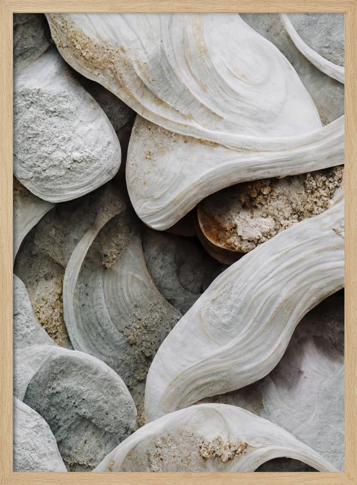 Sea Shells Detail No 3 Poster