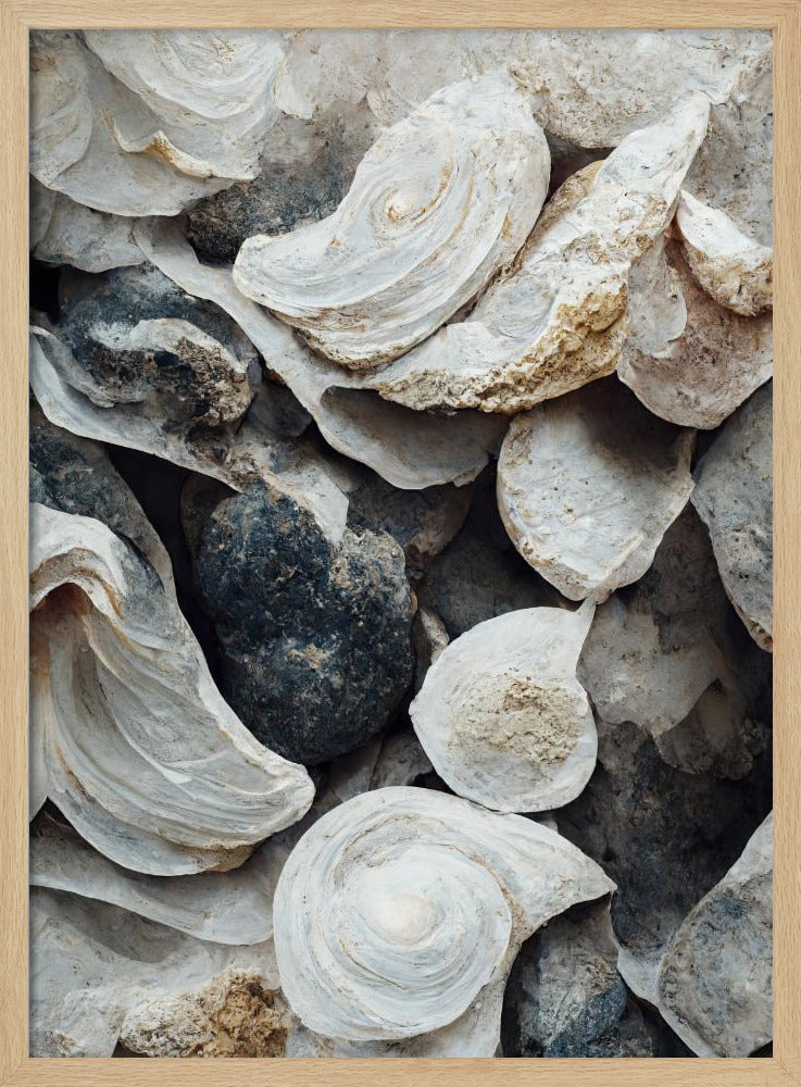 Sea Shells Detail No 4 Poster