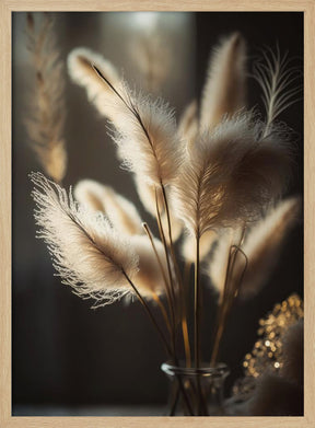 Pampas Grass In Sunlight Poster