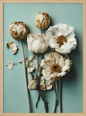 Dry Flowers on Turquoise Background Poster