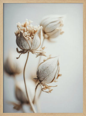 Beige Felt Flowers Poster