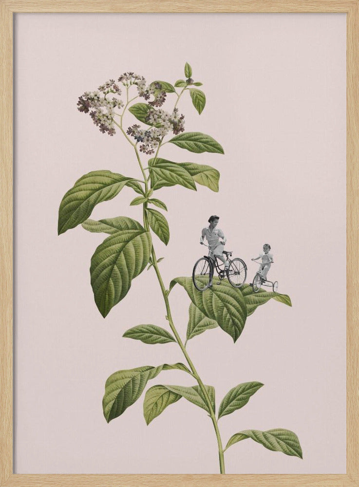 Botanical cycling Poster