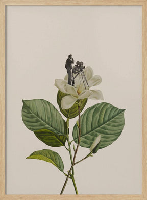 Botanical vintage cameraman Poster