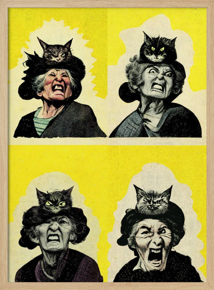 Angry Cat Lady Poster