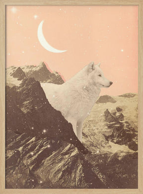 Giant White Wolf In Mountains Poster