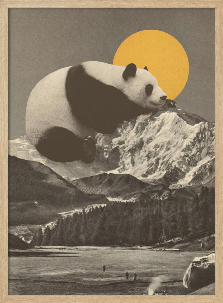 Giant Panda Nap Poster