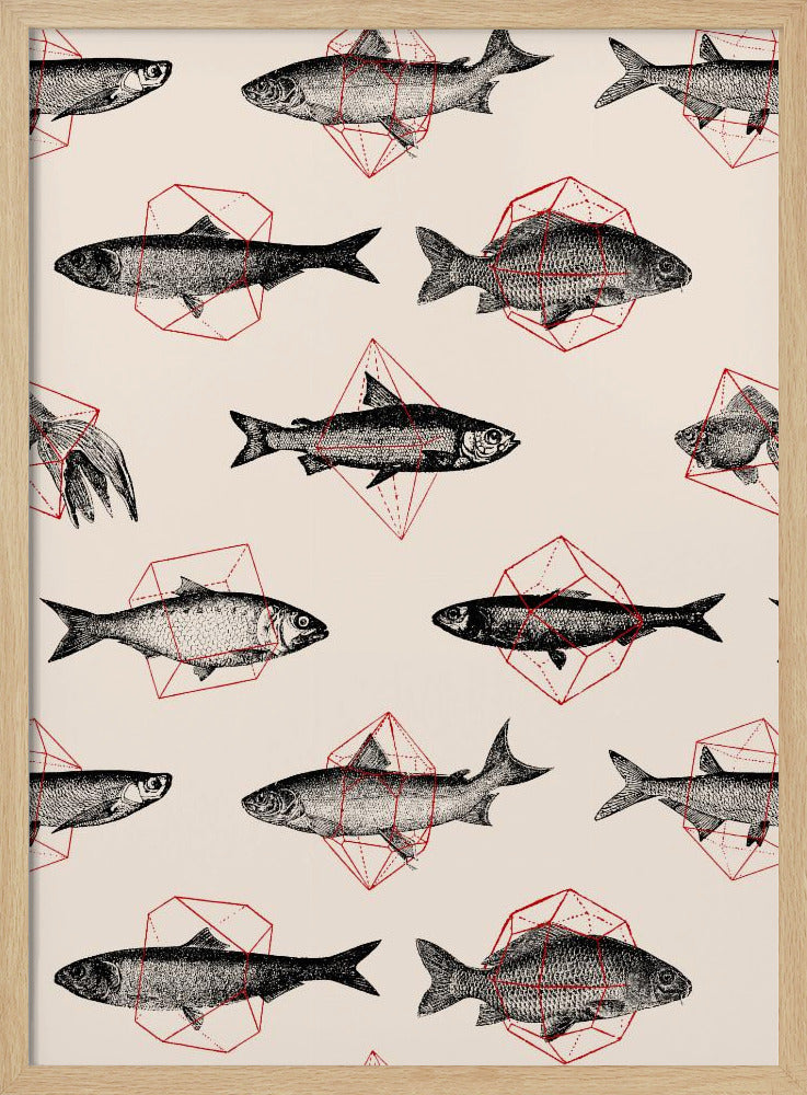 Fishes In Geometrics Nº4 Poster