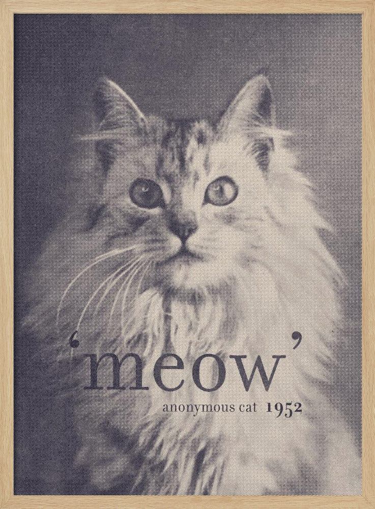 Famous Quote Cat Poster