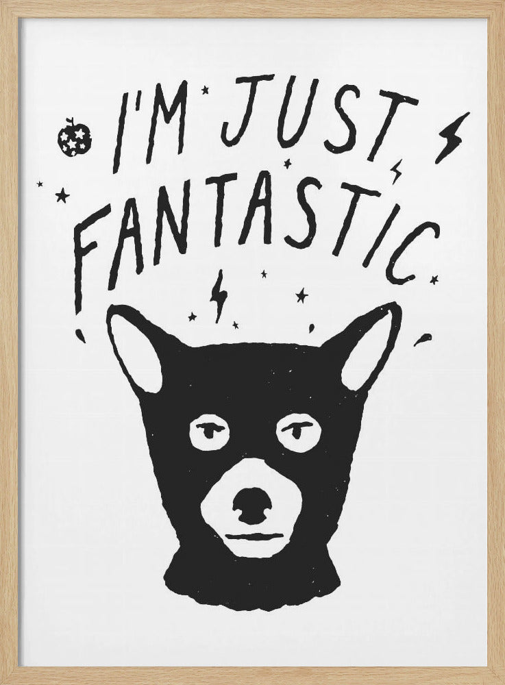 Im Just Fantastic Poster