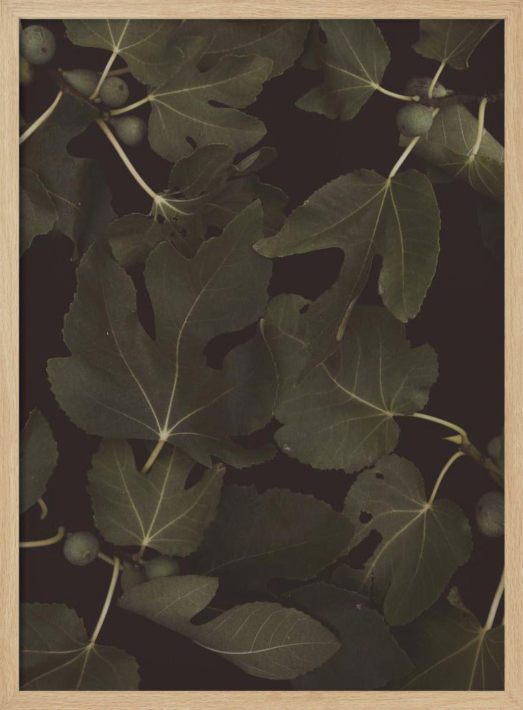 Botanical   Night Poster