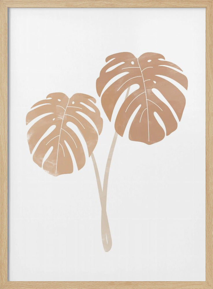 Monstera Plants Poster