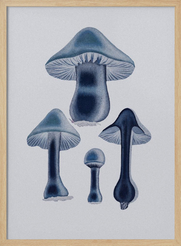 Agaricus Bulbosus - Blue Poster