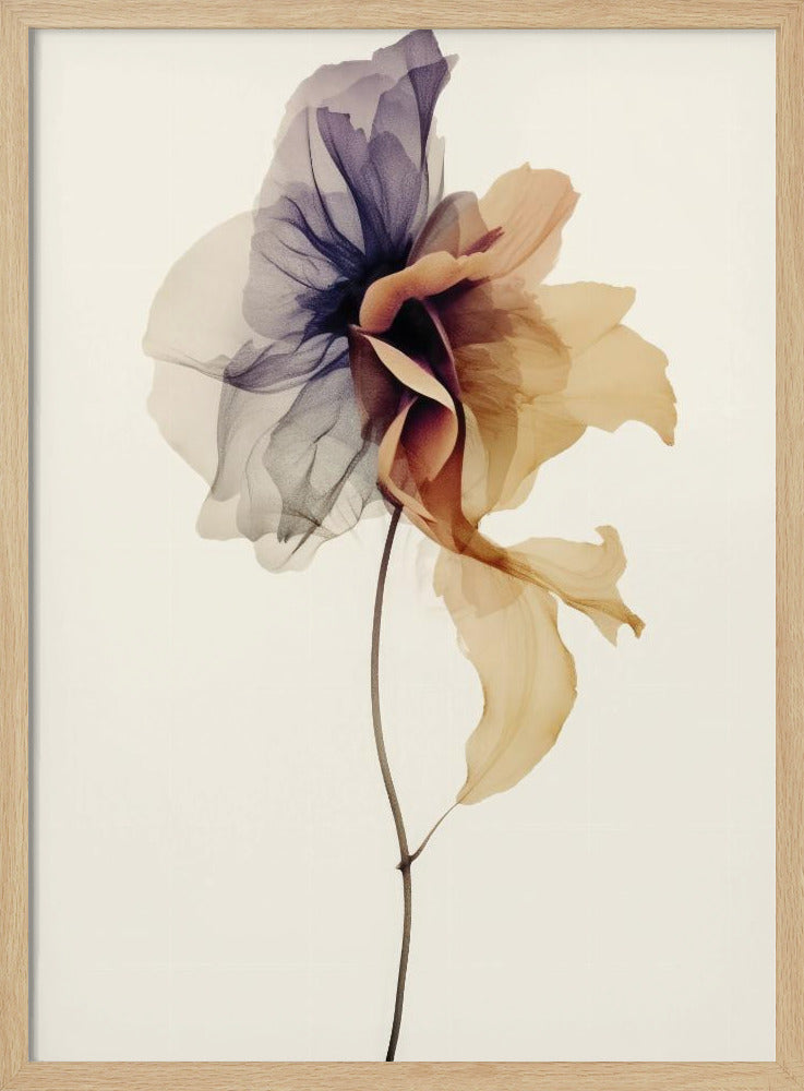 Chiffon Flower Poster