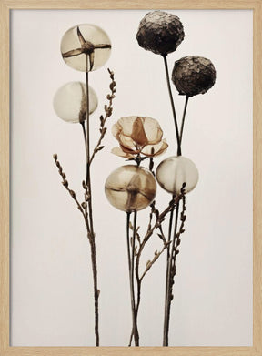 Glass Ball Flowers Poster