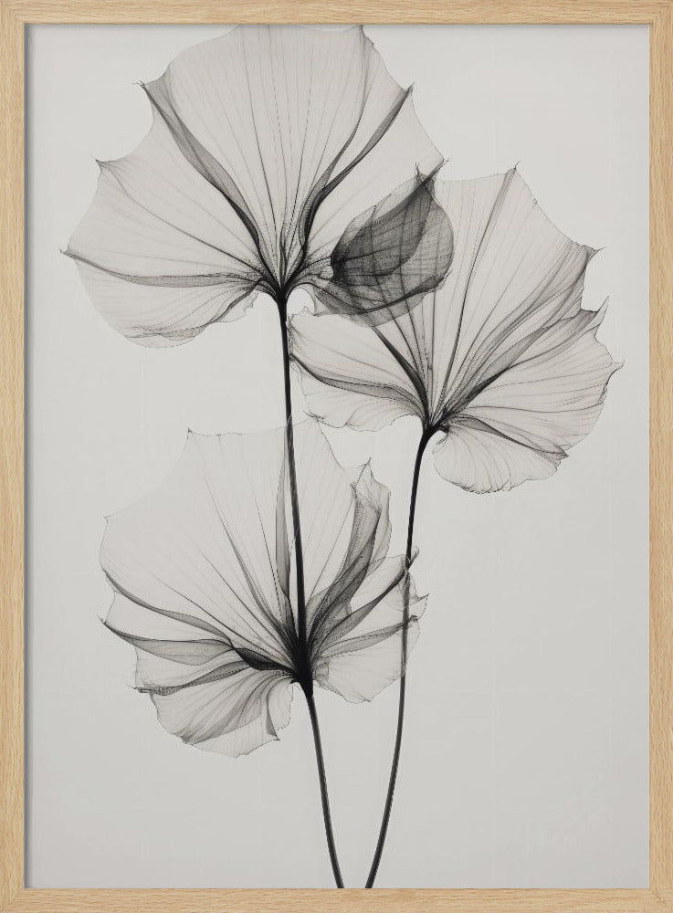 Transparent Botanic No 3 Poster