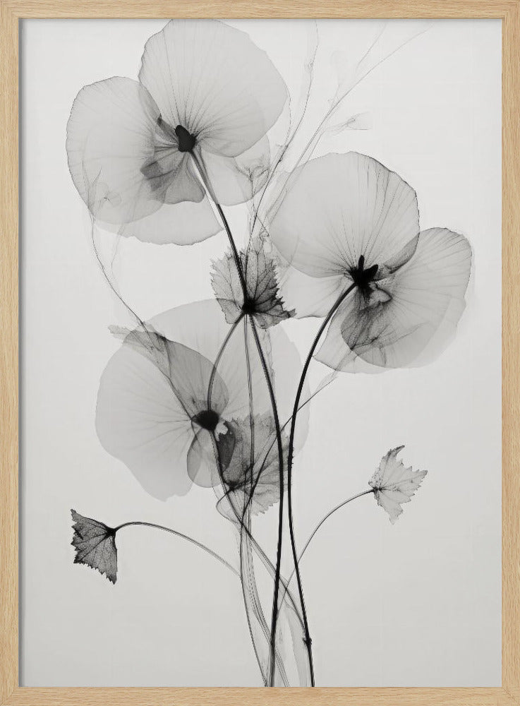 Transparent Botanic No1 Poster