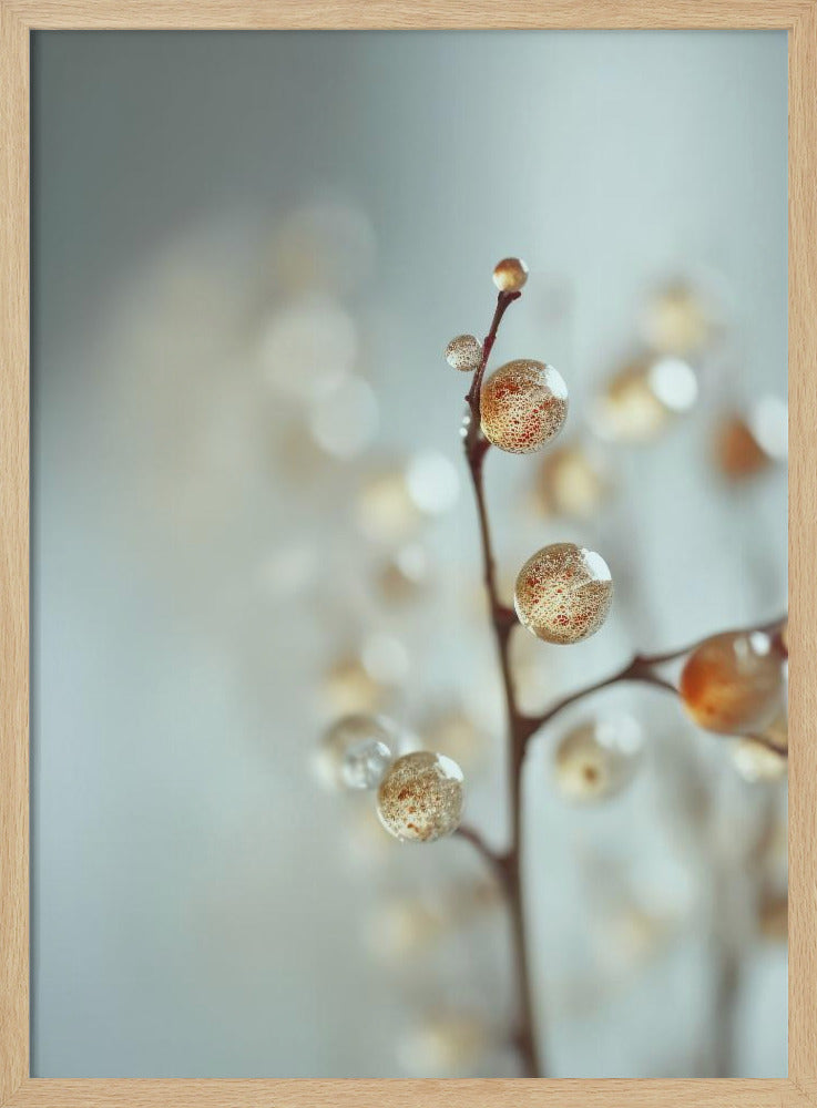 Glassy Berries Poster