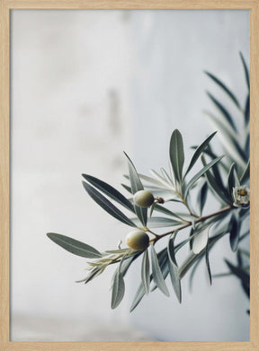 Olives Poster