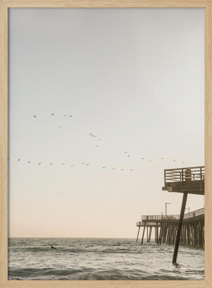 California Surfers Poster