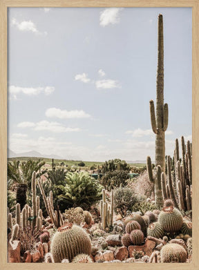 Catus Farm 02 Poster