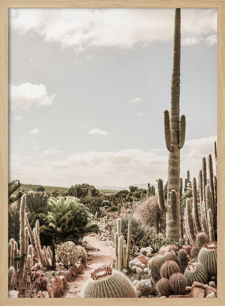 Cactus Farm Poster