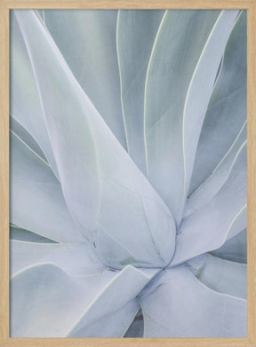 Crystal Cactus No2 Poster