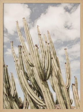 Desert Cathedral Poster