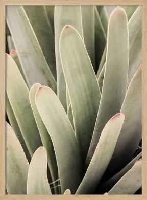 Desert Lips Poster