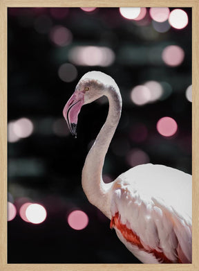 Disco Flamingo Poster