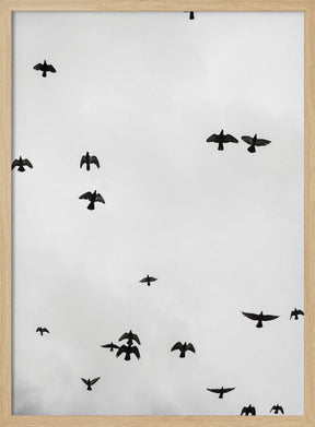 Flight &amp; Freedom No4 Poster