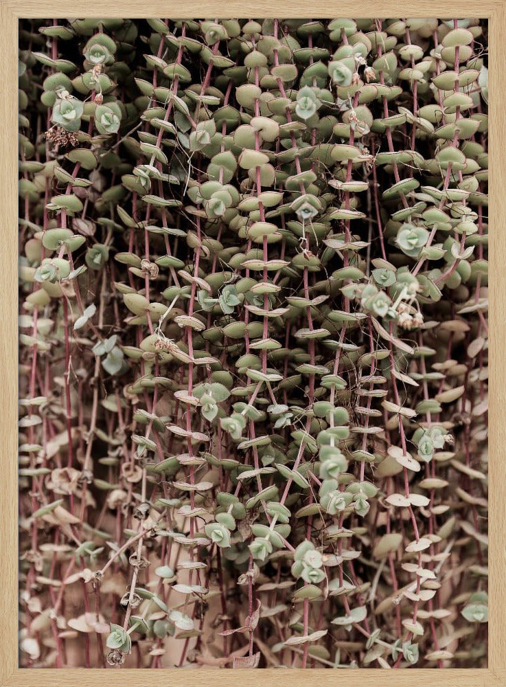 Hanging Garden Poster