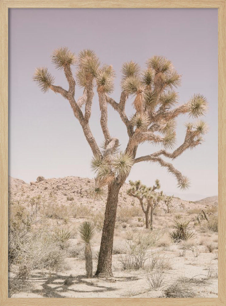 Joshua Tree Poster