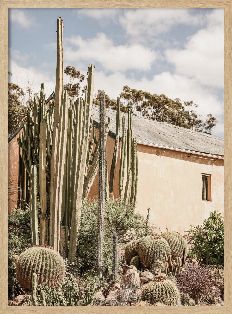 Karoo Garden 02 Poster