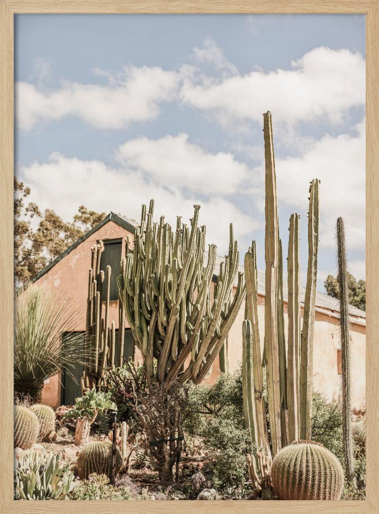 Karoo Garden Poster
