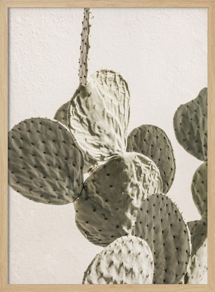 Mexi Catus 02 Poster