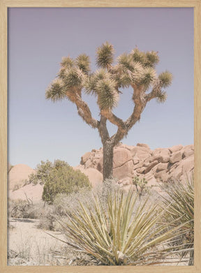 Mojave Desert Poster