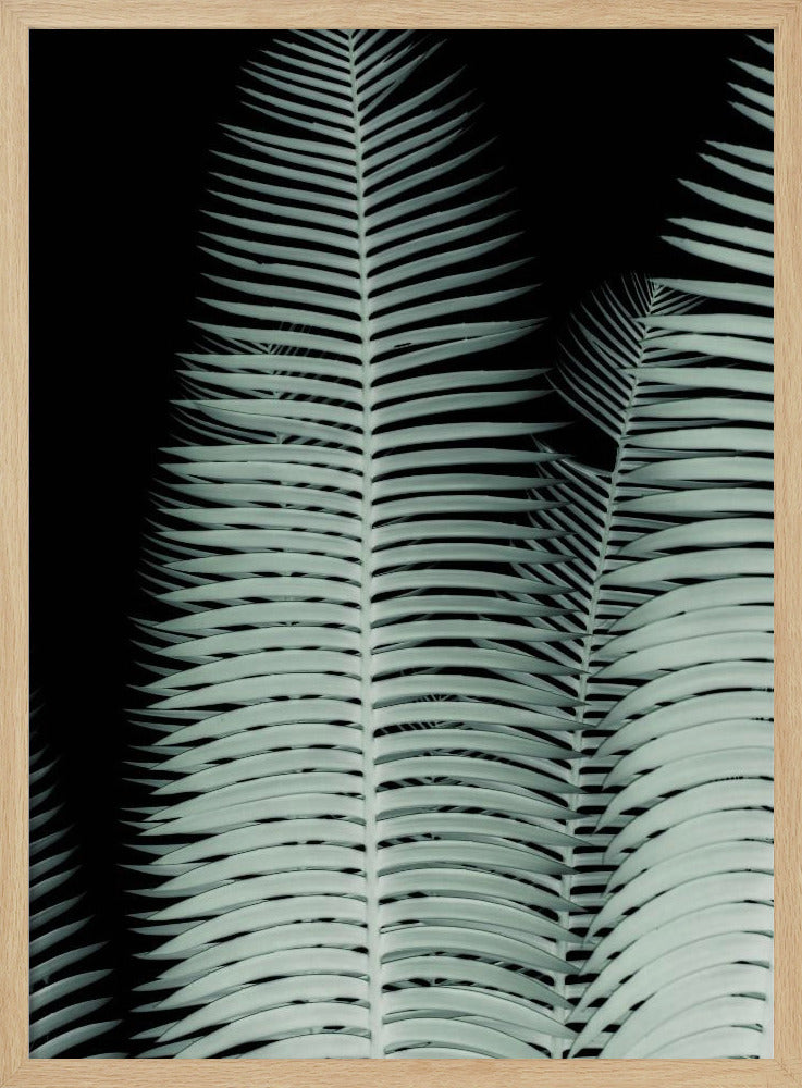 Palm Leaf Poster