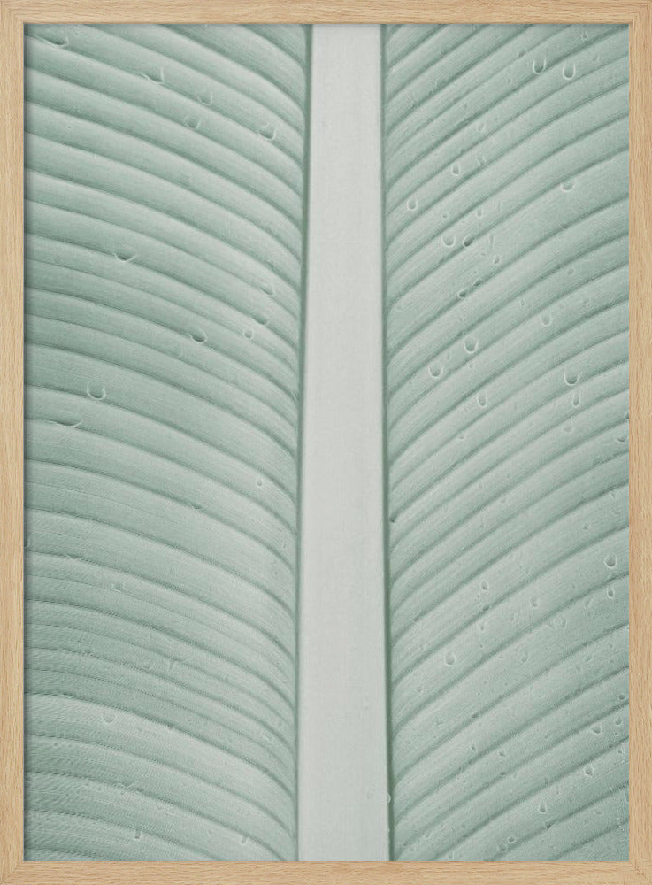 My Mint Moment 11 Poster