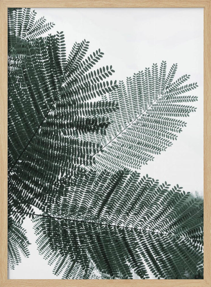 My Mint Moment 22 Poster