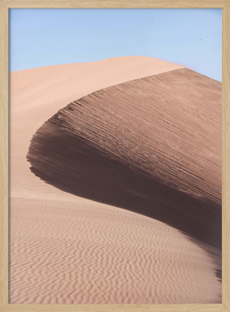 Namib Three Poster