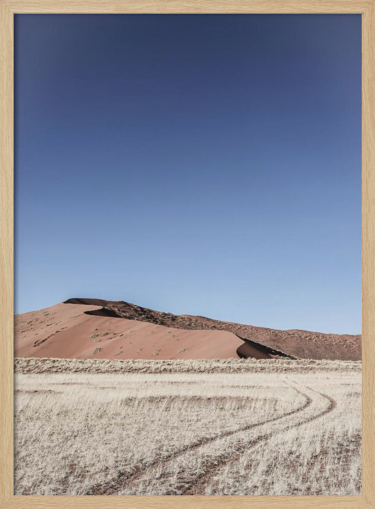 Namib One Poster