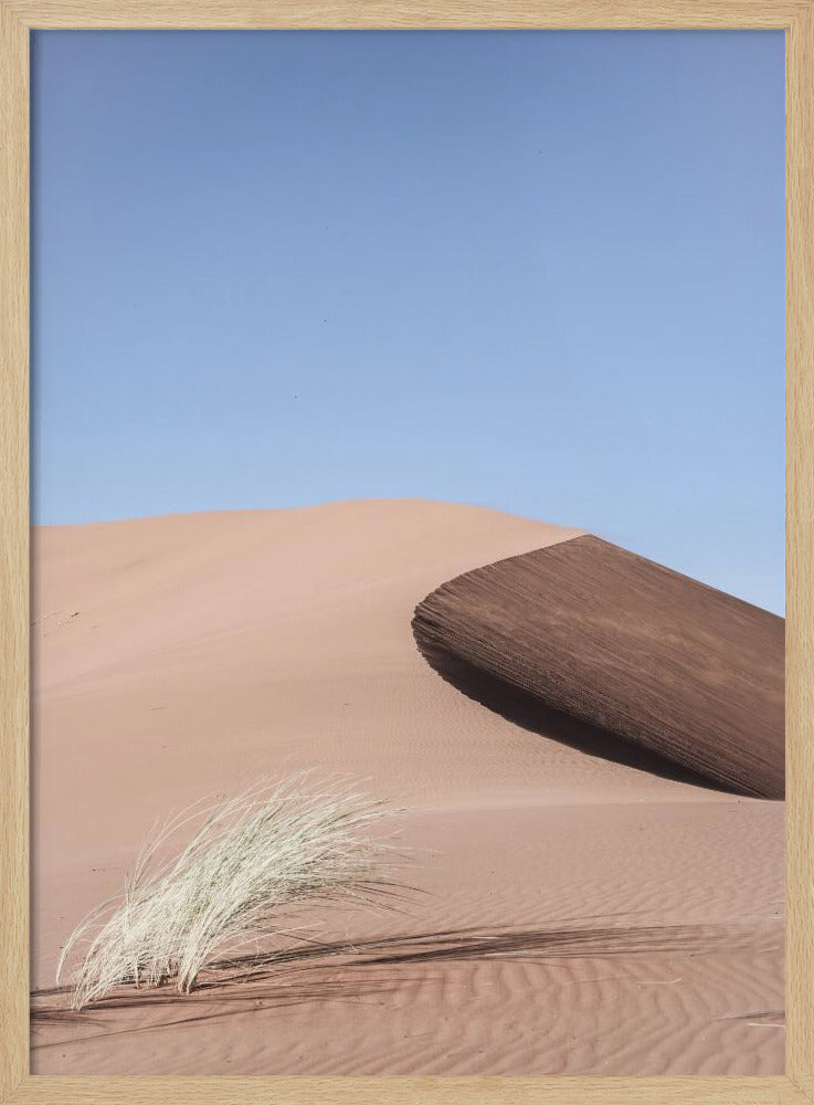 Namib Two Poster