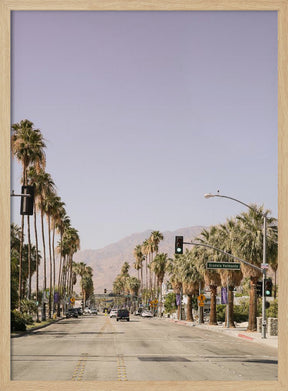 Palm Spring Poster