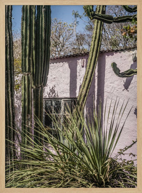 Plants On Pink Poster