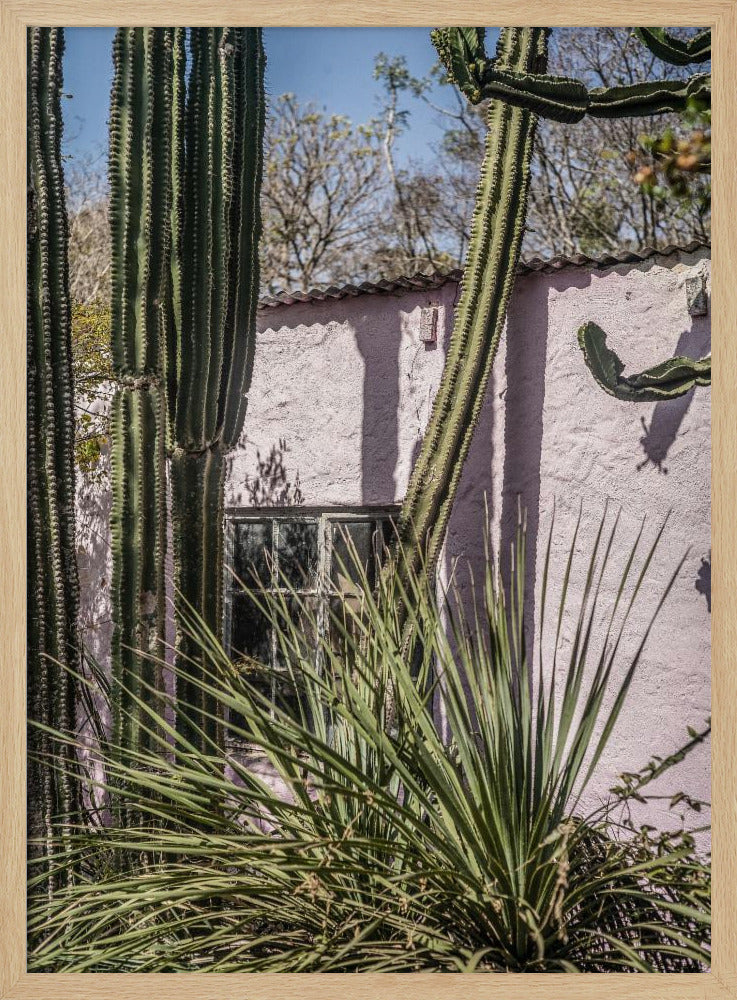 Plants On Pink Poster