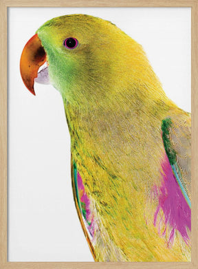 Polly Poster