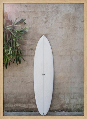 Safari Twinfin Poster